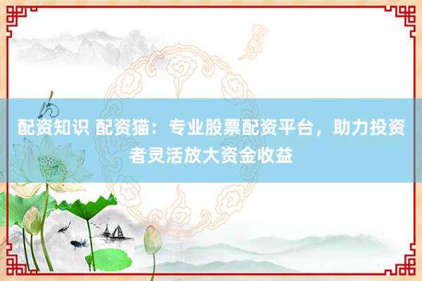 配资知识 配资猫：专业股票配资平台，助力投资者灵活放大资金收益