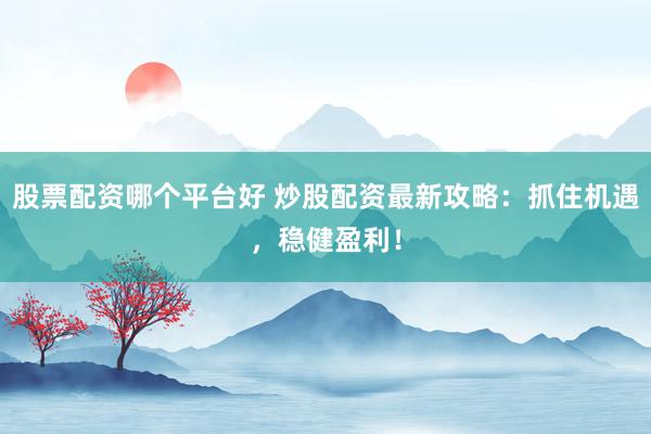 股票配资哪个平台好 炒股配资最新攻略：抓住机遇，稳健盈利！