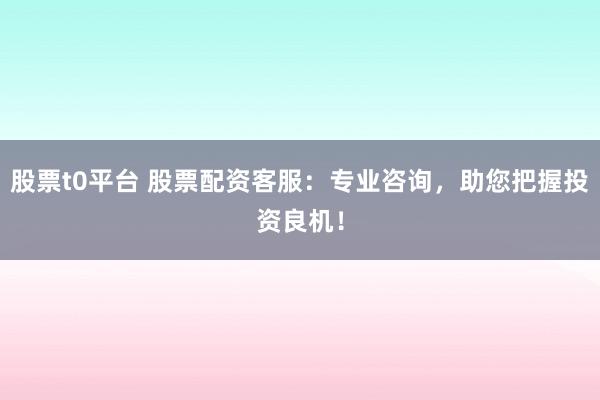 股票t0平台 股票配资客服：专业咨询，助您把握投资良机！