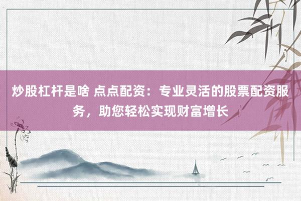 炒股杠杆是啥 点点配资：专业灵活的股票配资服务，助您轻松实现财富增长