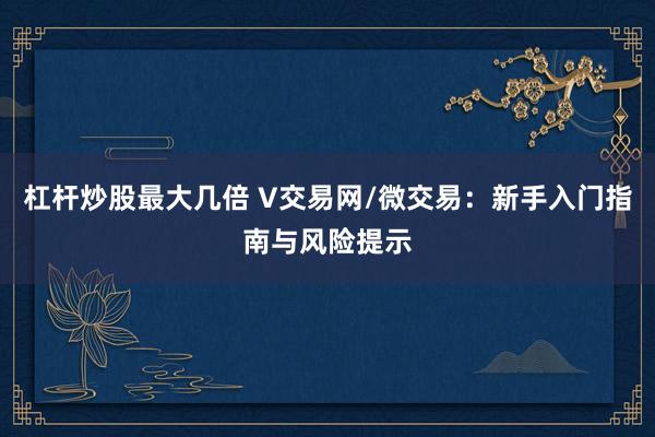 杠杆炒股最大几倍 V交易网/微交易：新手入门指南与风险提示