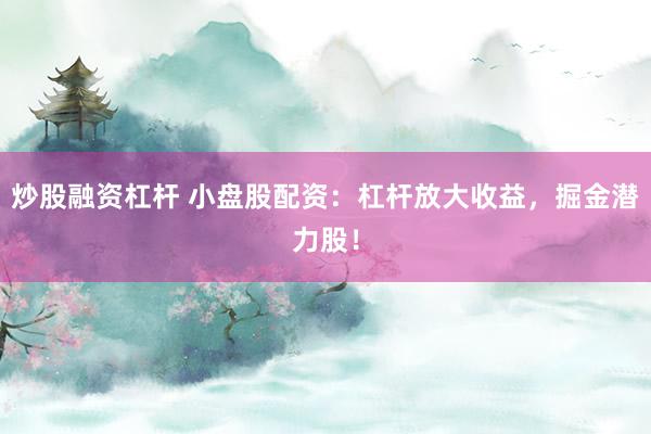 炒股融资杠杆 小盘股配资：杠杆放大收益，掘金潜力股！