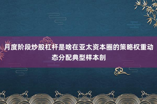 月度阶段炒股杠杆是啥在亚太资本圈的策略权重动态分配典型样本剖