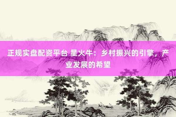 正规实盘配资平台 星火牛：乡村振兴的引擎，产业发展的希望
